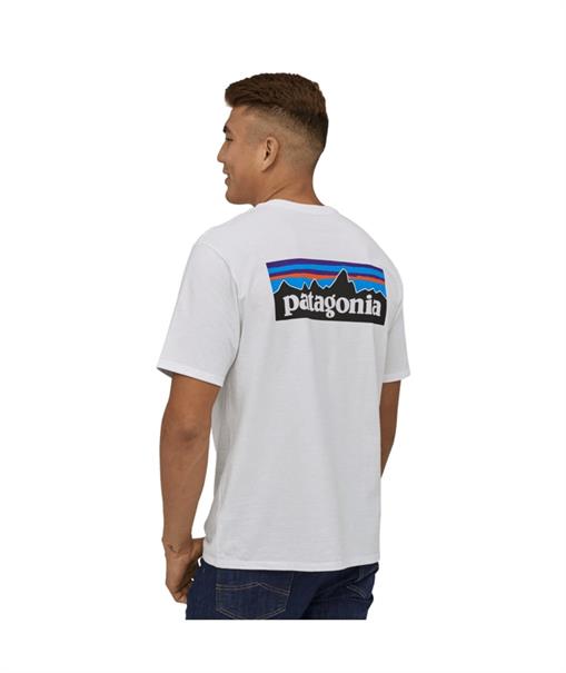 Patagonia P-6 Logo Responsibili-T-shirt voor Heren
