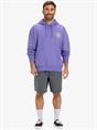 Quiksilver APOG Heritage - Pullover-hoodie voor heren