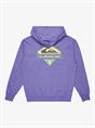Quiksilver APOG Heritage - Pullover-hoodie voor heren