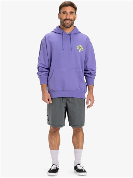 Quiksilver APOG Heritage - Pullover-hoodie voor heren