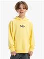 Quiksilver APOG Heritage - Pullover-hoodie voor jongens van 8 - 16 jaar