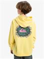 Quiksilver APOG Heritage - Pullover-hoodie voor jongens van 8 - 16 jaar