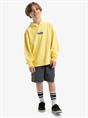 Quiksilver APOG Heritage - Pullover-hoodie voor jongens van 8 - 16 jaar
