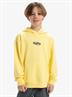 Quiksilver APOG Heritage - Pullover-hoodie voor jongens van 8 - 16 jaar