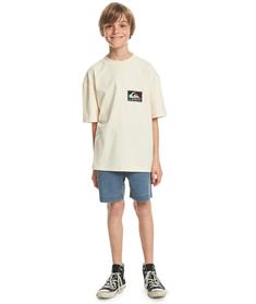 Quiksilver BACKFLASHSSYTH - Boys Short Sleeve Screen Tee