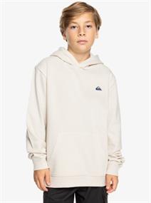 Quiksilver Basic Hoodie - Boys Surf Lifestyle Hoodie