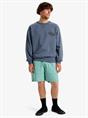 Quiksilver Dusun - Sweatshirt met ronde hals voor heren