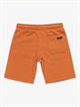 Quiksilver Easy Day - Elastic Waist Shorts for Boys 2 - 7