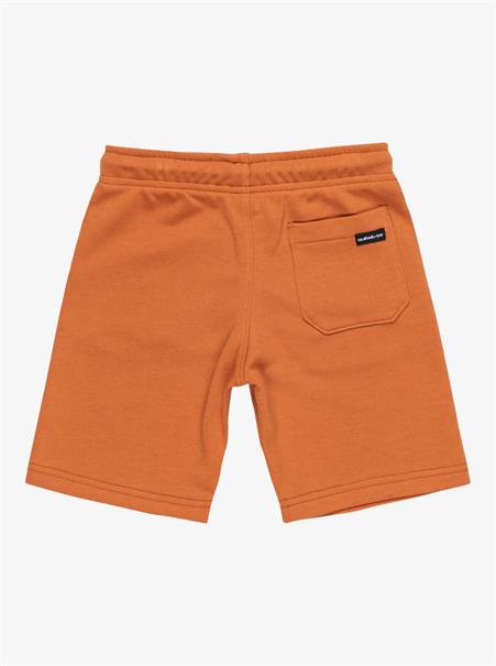 Quiksilver Easy Day - Elastic Waist Shorts for Boys 2 - 7