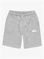 Quiksilver Easy Day - Elastic Waist Shorts for Boys 8 - 16