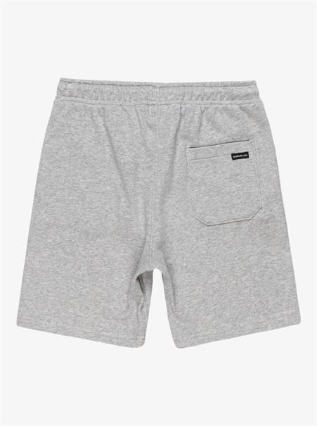 Quiksilver Easy Day - Elastic Waist Shorts for Boys 8 - 16