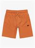 Quiksilver Easy Day - Shorts met elastische taille voor jongens 2 - 7