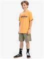 Quiksilver Ev Shape All Days - Short Sleeves T-Shirt for Boys 8 - 16
