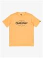Quiksilver Ev Shape All Days - Short Sleeves T-Shirt for Boys 8 - 16