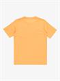 Quiksilver Ev Shape All Days - Short Sleeves T-Shirt for Boys 8 - 16