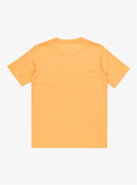 Quiksilver Ev Shape All Days - Short Sleeves T-Shirt for Boys 8 - 16