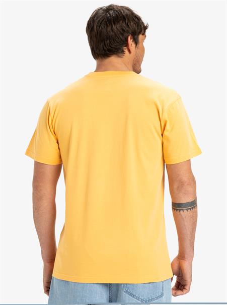 Quiksilver Ev Sun Dagger - T-shirt met korte mouwen voor heren