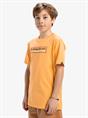 Quiksilver Ev Sun Dagger - T-shirt met korte mouwen voor jongens van 8 - 16 jaar