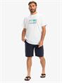 Quiksilver Everyday 20" - Chino Shorts for Men