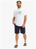 Quiksilver Everyday 20
