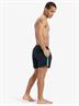 Quiksilver Everyday Beach 15