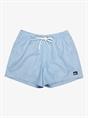 Quiksilver Everyday Deluxe 15" - Swim Shorts for Men