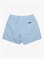 Quiksilver Everyday Deluxe 15" - Swim Shorts for Men