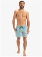 Quiksilver Everyday Deluxe 15" - Swim Shorts for Men