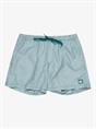 Quiksilver Everyday Deluxe 15" - Swim Shorts for Men