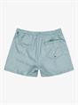 Quiksilver Everyday Deluxe 15" - Swim Shorts for Men