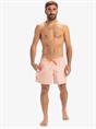 Quiksilver Everyday Deluxe 15" - Swim Shorts for Men