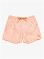 Quiksilver Everyday Deluxe 15" - Swim Shorts for Men