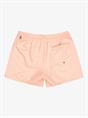 Quiksilver Everyday Deluxe 15" - Swim Shorts for Men