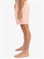 Quiksilver Everyday Deluxe 15" - Swim Shorts for Men