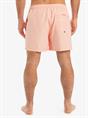 Quiksilver Everyday Deluxe 15" - Swim Shorts for Men