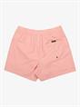 Quiksilver Everyday Deluxe 15" - Swim Shorts for Men