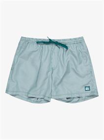 Quiksilver Everyday Deluxe 15" - Swim Shorts for Men