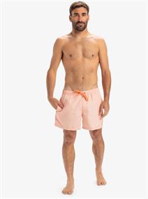 Quiksilver Everyday Deluxe 15" - Swim Shorts for Men