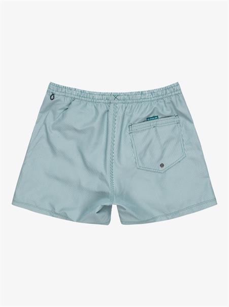 Quiksilver Everyday Deluxe 15" - Swim Shorts for Men