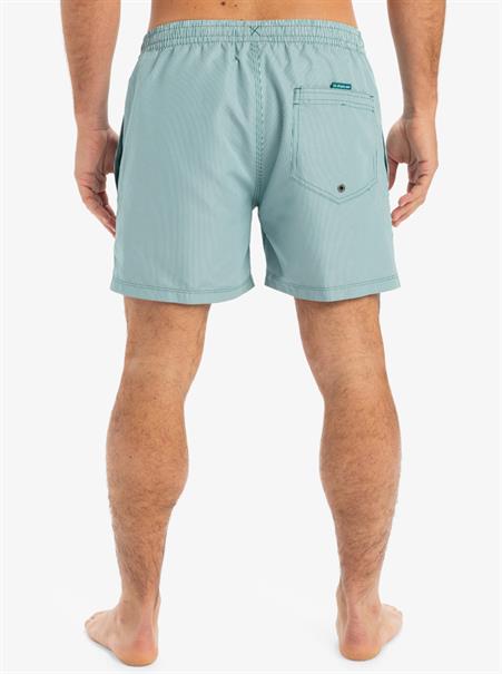 Quiksilver Everyday Deluxe 15" - Swim Shorts for Men