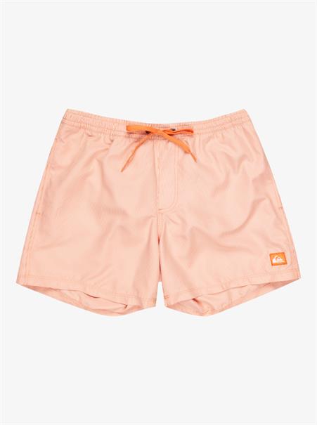 Quiksilver Everyday Deluxe 15" - Swim Shorts for Men