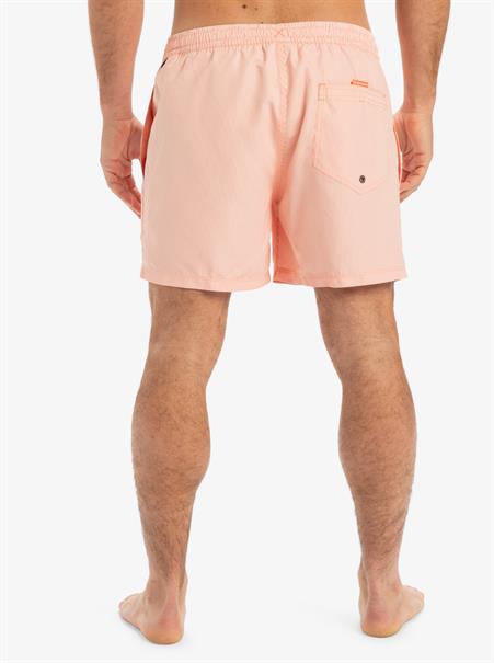 Quiksilver Everyday Deluxe 15" - Swim Shorts for Men
