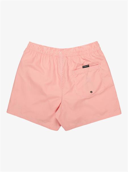 Quiksilver Everyday Deluxe 15" - Swim Shorts for Men
