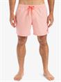 Quiksilver Everyday Deluxe 15" - Zwemshorts voor heren