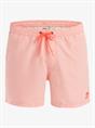 Quiksilver Everyday Deluxe 15" - Zwemshorts voor heren