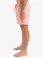 Quiksilver Everyday Deluxe 15" - Zwemshorts voor heren