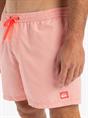 Quiksilver Everyday Deluxe 15" - Zwemshorts voor heren
