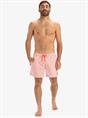 Quiksilver Everyday Deluxe 15" - Zwemshorts voor heren