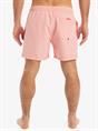 Quiksilver Everyday Deluxe 15" - Zwemshorts voor heren