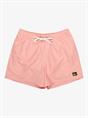 Quiksilver Everyday Deluxe 15" - Zwemshorts voor heren